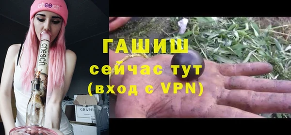 стаф Богородск