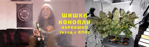 стаф Богородск