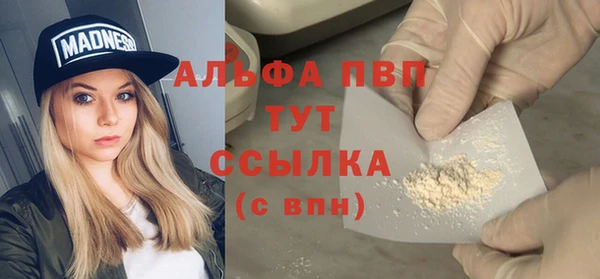 гидра Богданович