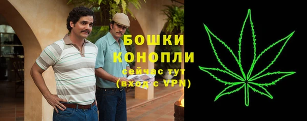 гидра Богданович