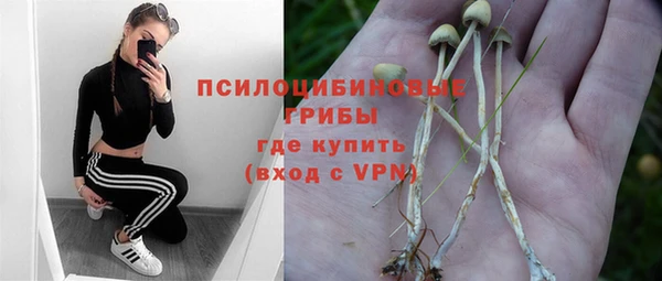 гидра Богданович