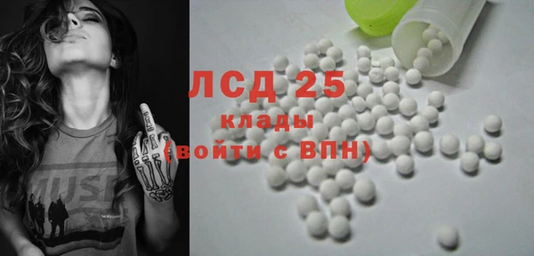 гидра Богданович