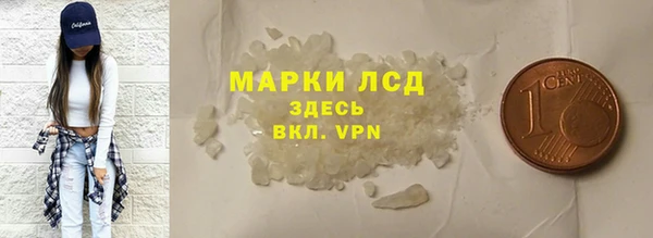 гидра Богданович