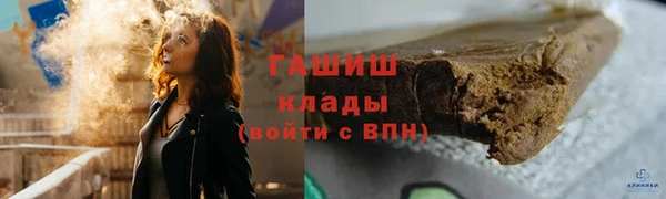 гидра Богданович
