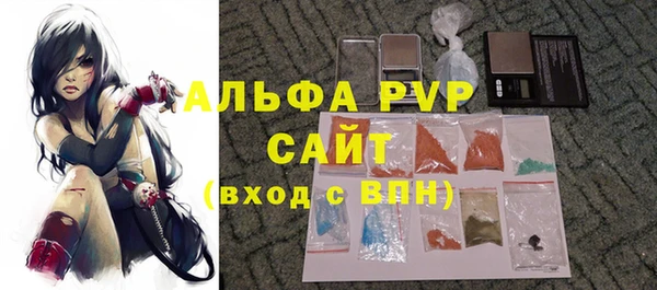 гидра Богданович