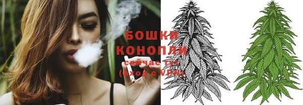 стаф Богородск