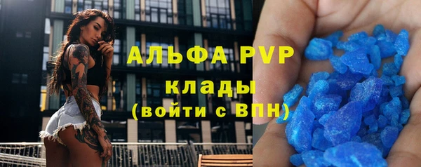 гидра Богданович